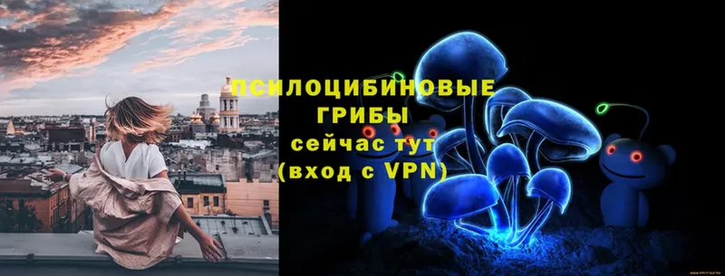 Псилоцибиновые грибы Cubensis  Ульяновск 